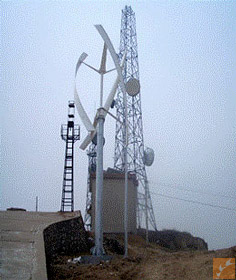 杂交种wind microgrid