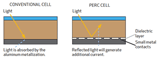 PERC钝化发射极后部电池