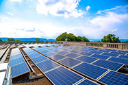 Solaria太阳能系统承包商